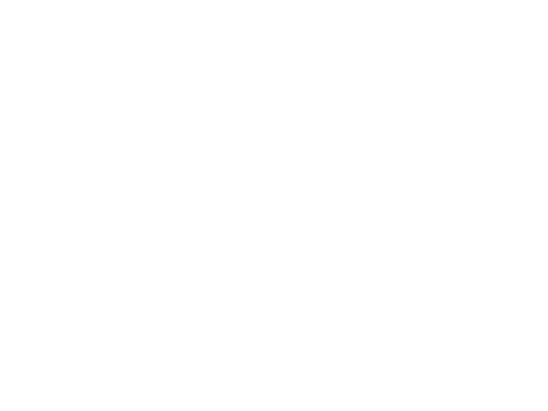 Fleischerei Hollmann